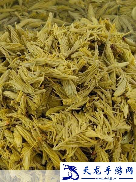 西施被焯出白水怎么辦